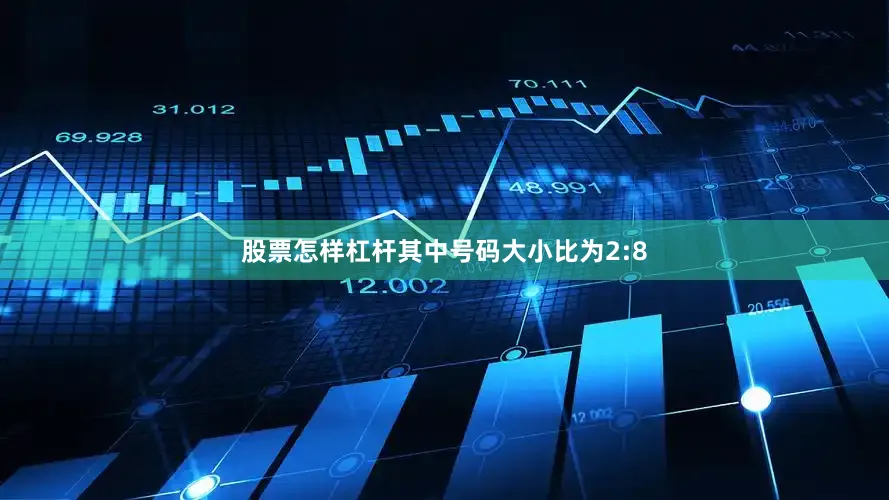 股票怎样杠杆其中号码大小比为2:8