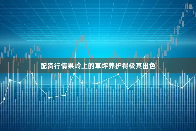 配资行情果岭上的草坪养护得极其出色