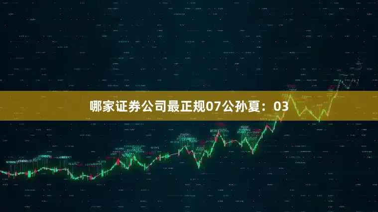 哪家证券公司最正规07　　公孙夏：03